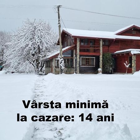 Vistisoara Casa Buniculuiヴィラ エクステリア 写真