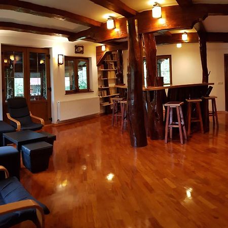 Vistisoara Casa Buniculuiヴィラ エクステリア 写真