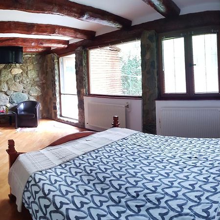 Vistisoara Casa Buniculuiヴィラ 部屋 写真