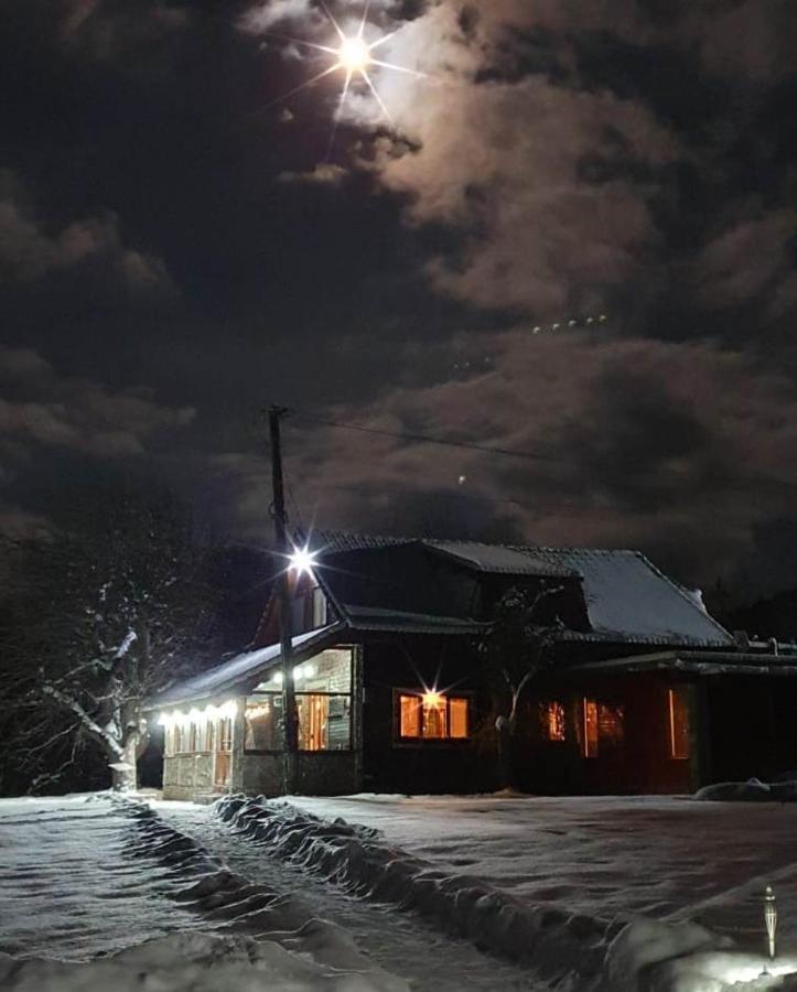 Vistisoara Casa Buniculuiヴィラ エクステリア 写真