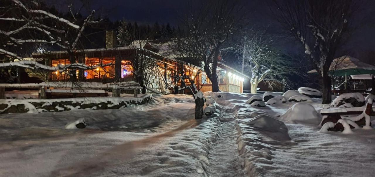 Vistisoara Casa Buniculuiヴィラ エクステリア 写真