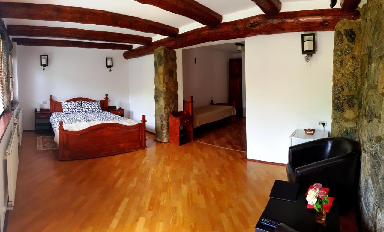 Vistisoara Casa Buniculuiヴィラ 部屋 写真