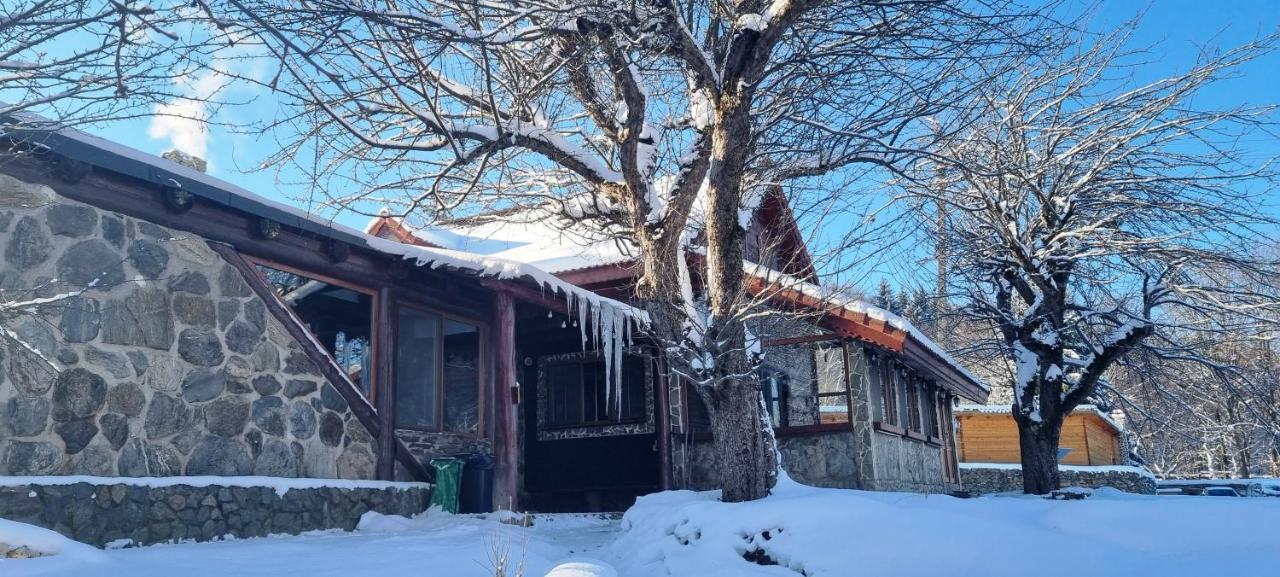 Vistisoara Casa Buniculuiヴィラ エクステリア 写真