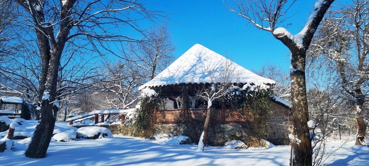 Vistisoara Casa Buniculuiヴィラ エクステリア 写真