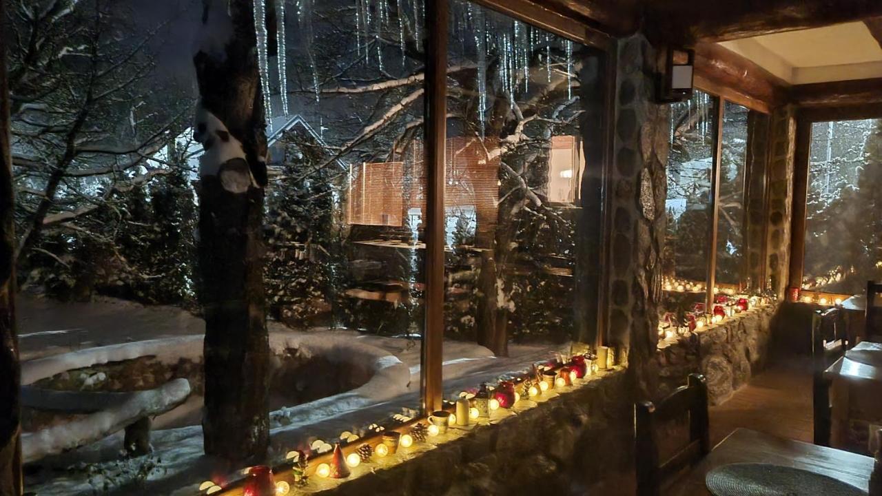 Vistisoara Casa Buniculuiヴィラ エクステリア 写真