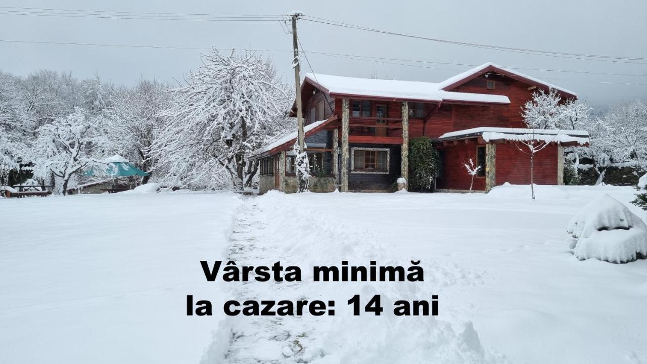 Vistisoara Casa Buniculuiヴィラ エクステリア 写真