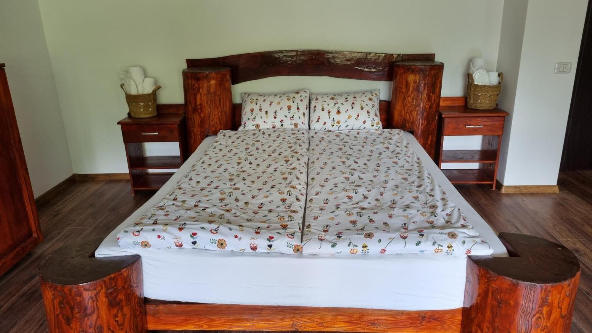 Vistisoara Casa Buniculuiヴィラ 部屋 写真