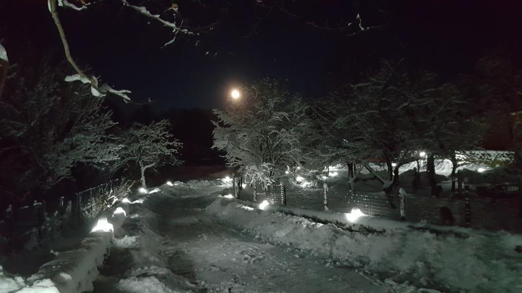 Vistisoara Casa Buniculuiヴィラ エクステリア 写真