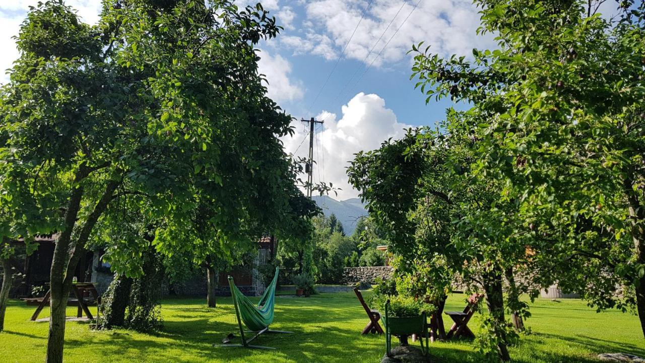 Vistisoara Casa Buniculuiヴィラ エクステリア 写真