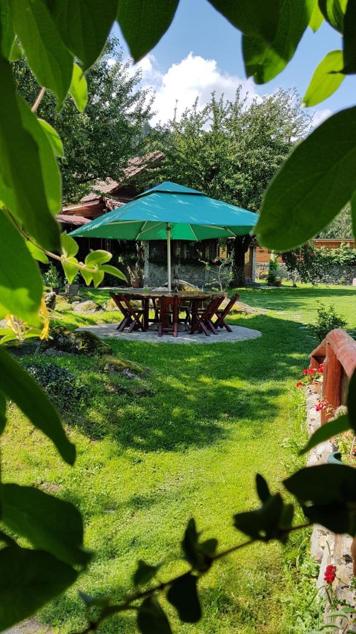 Vistisoara Casa Buniculuiヴィラ エクステリア 写真