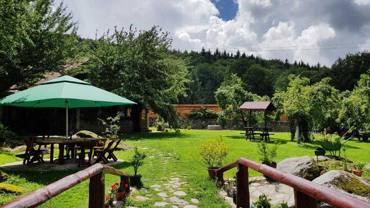 Vistisoara Casa Buniculuiヴィラ エクステリア 写真